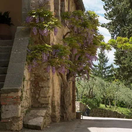 컨트리하우스 Castello Di Fonterutoli Wine *